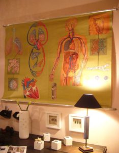 Un tableau mural vintage montrant des illustrations de l'anatomie humaine est affiché au-dessus d'un bureau avec une lampe et des objets décoratifs en brocante.