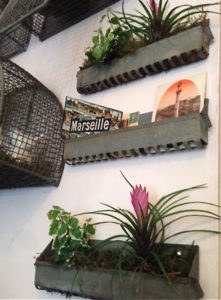 Trois jardinières murales représentant diverses plantes, ainsi que deux cartes postales rétro, l'une indiquant "Marseille" et l'autre présentant une vue panoramique, ajoutent un charme nostalgique au décor.