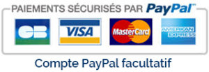 Affichage des options de paiement : Carte Bancaire, Visa, Mastercard, American Express, avec paiements sécurisés via PayPal, PayPal en option.