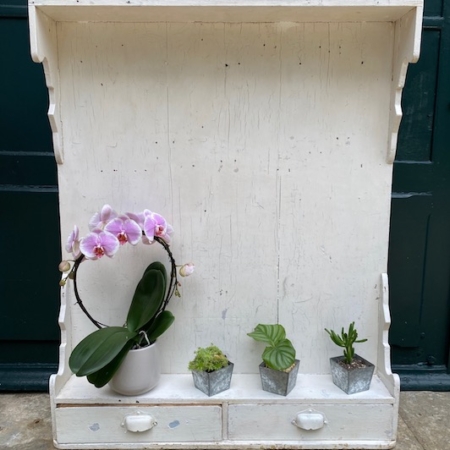 La Grande Etagère 1940, étagère vintage en bois blanc à deux tiroirs, présente une orchidée en pot et trois petites plantes dans des pots en métal sur un fond vert. Brocante 93