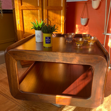 La Table Basse 1970 VENDU, ornée de plantes et de petits bols en verre, à côté d'un mur avec jardinières suspendues, dégage un charme vintage car elle est éclairée par la chaude lumière du soleil. Brocante 93