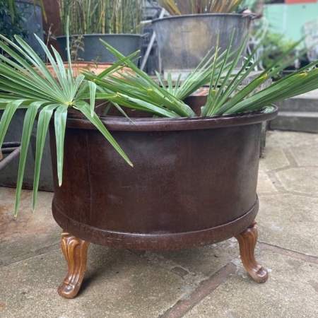 Une jardinière vintage Fût Industriel 1940 marron à feuilles de palmier se dresse sur un patio en pierre, entourée d'autres plantes en arrière-plan. Brocante 93