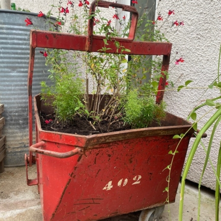 Un Chariot Industriel 1950 rempli de terre et de fleurs rouges en fleurs est posé à côté d'un mur en tôle ondulée et d'un mur en béton, dégageant une ambiance charmante et rétro. Brocante 93