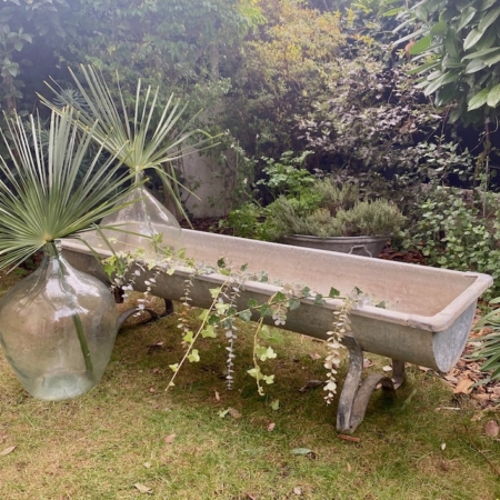 Un banc rustique **Auge à Bétail sur Pieds 1960** dans un jardin, avec un grand vase en verre et des plantes feuillues qui l'entourent, dégageant un charmant attrait vintage. Brocante 93