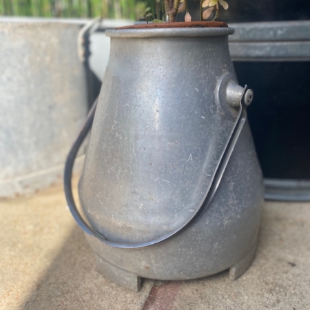 Le Pot à Lait 1950 VENDU, un pot à lait vintage en métal patiné reconverti en jardinière, contient des plantes succulentes et comporte une poignée ainsi qu'un petit bec verseur sur le côté. Brocante 93